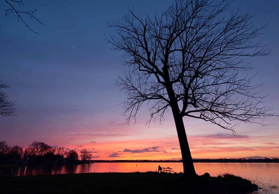 a tree at dusk with beautiful blue and pink night skies provides photography inspiration