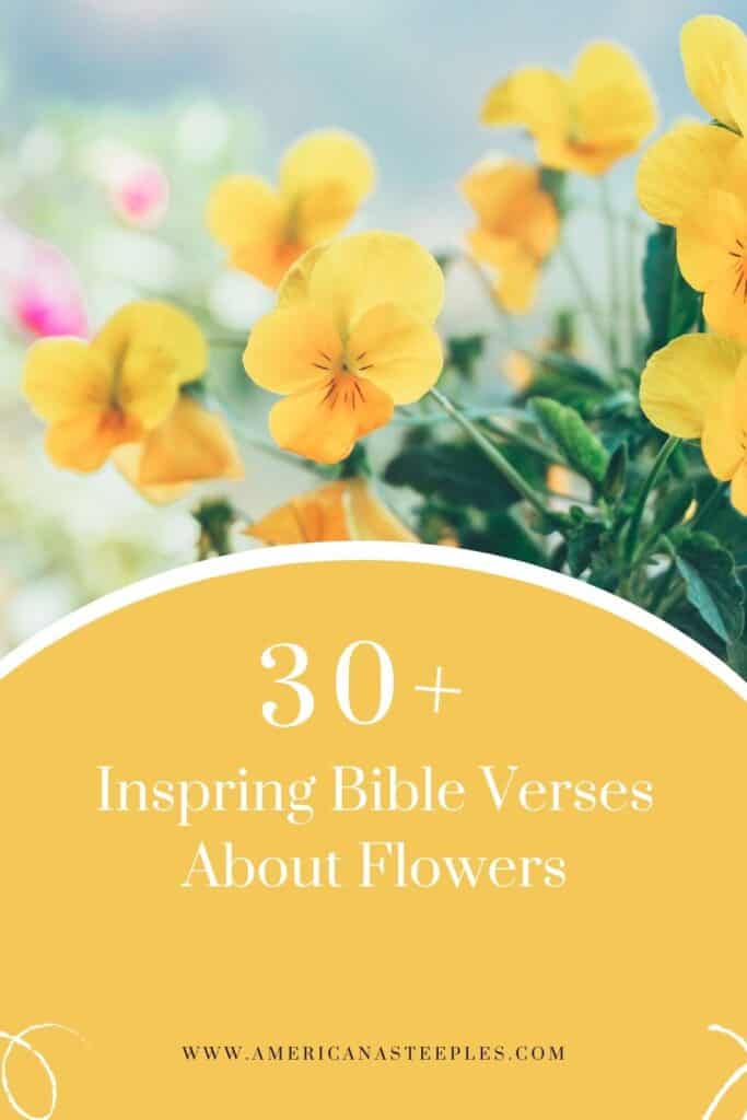 More than 30 bible verses about flowers to pin
