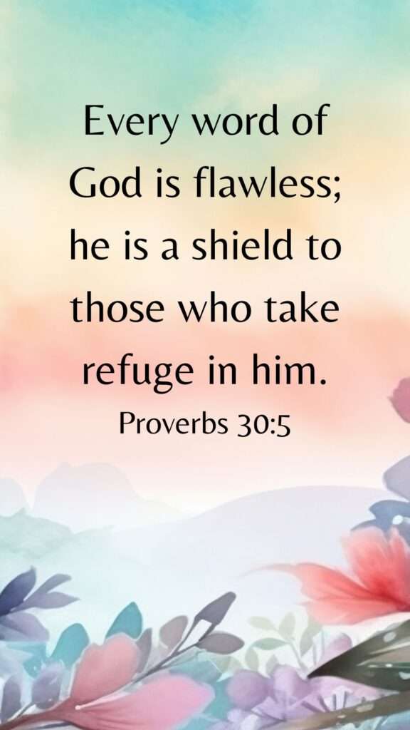 Proverbs 30:5 - Every word of God is flawless; he is a shield to those who take refuge in him.