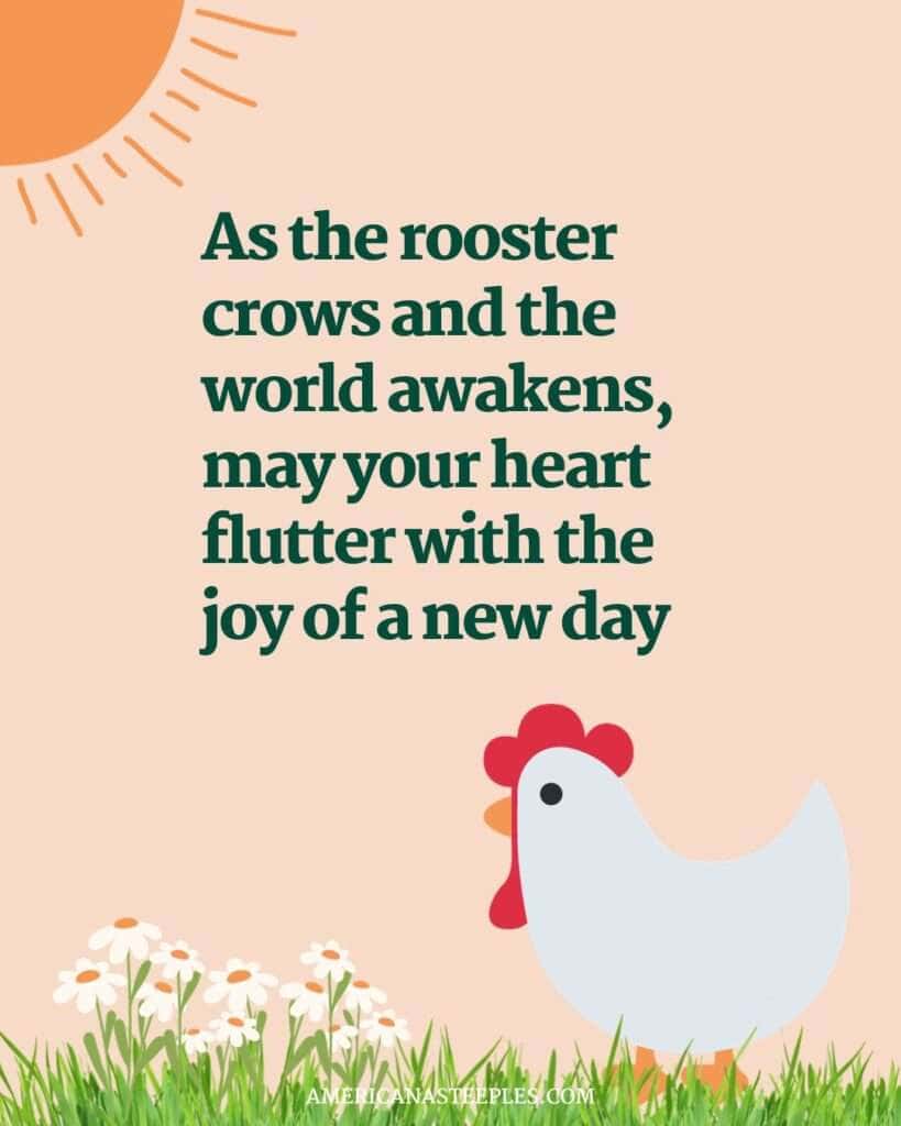 As the Rooster crows Happy Monday blessing