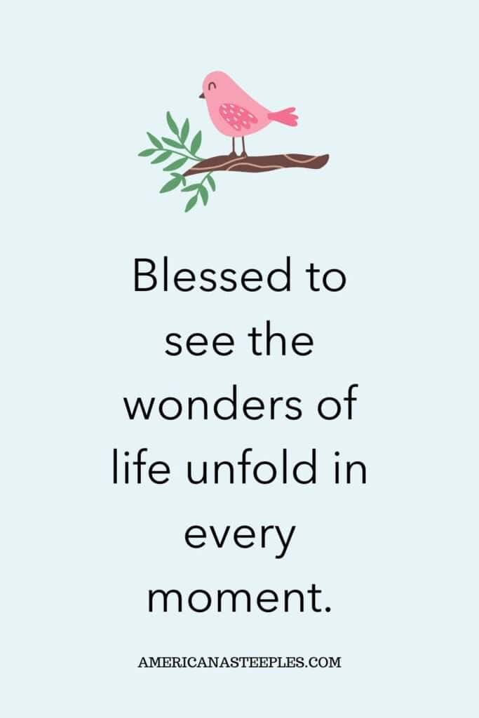 Wonders of life blessing