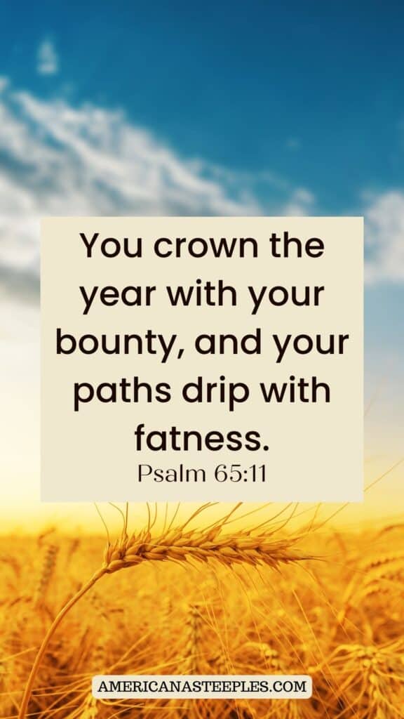 Psalm 65:11 You crown the year with your bounty, and your paths drip with fatness.