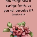 See, I am doing a new thing! Now it springs forth, do you not perceive it? Isaiah 43:19
