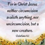 For in Christ Jesus neither circumcision availeth anything, nor uncircumcision, but a new creature. Galatians 6:1