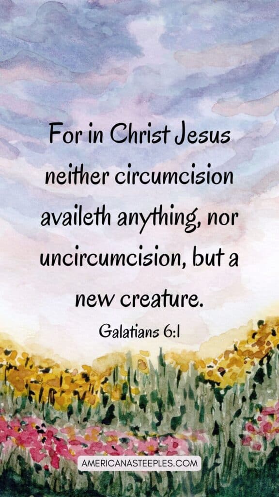For in Christ Jesus neither circumcision availeth anything, nor uncircumcision, but a new creature.
Galatians 6:1