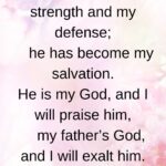 Exodus 15:2 The Lord is my strength and my defense