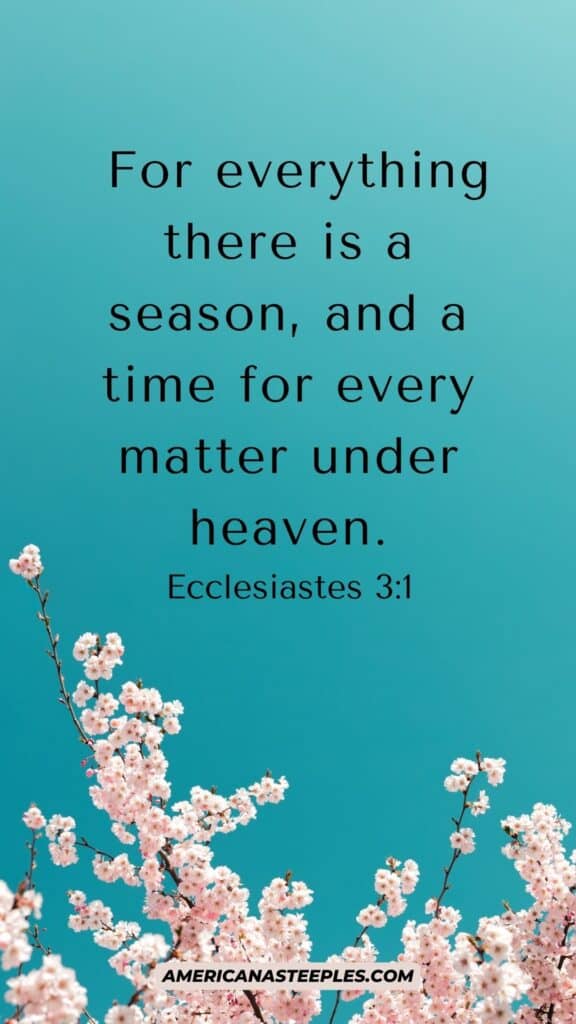 For everything there is a season, and a time for every matter under heaven.
Ecclesiastes 3:1