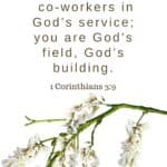 1 Corinthians 3:9 We are co-workers in God's service