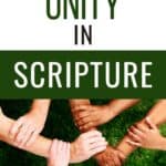 Unity in scripture
